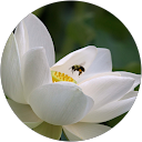 Fran Prem profile picture